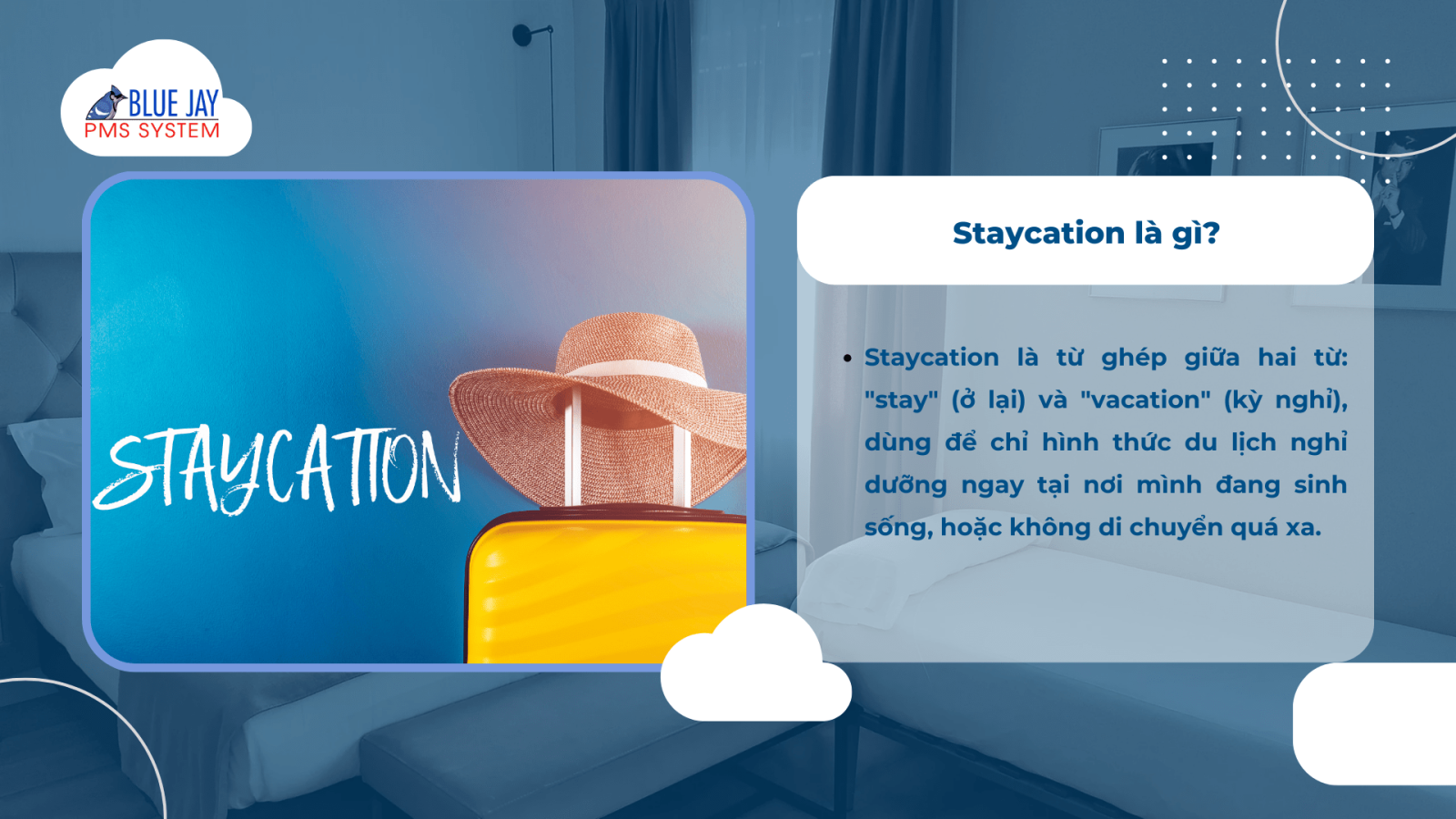 staycation là gì